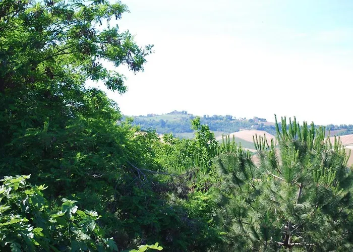 Panzió I Piceni 3*